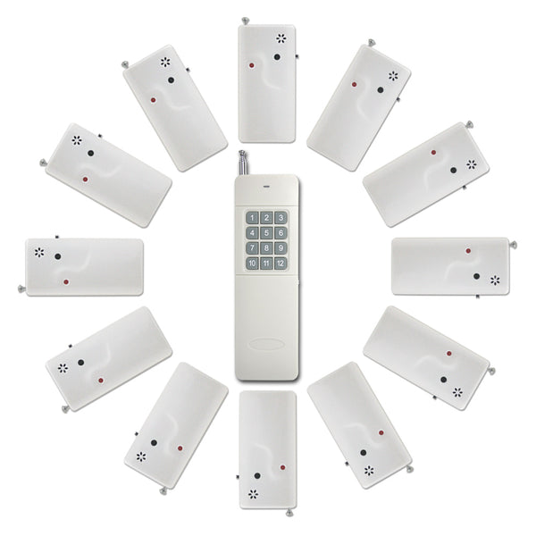 Twelve DC 3V Wireless Reminders and a RF Remote Control (Model: 0020173)
