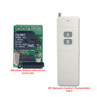 Small Size 1 Way DC 5~12V Wireless Switch with RF Remote Control (Model: 0020647)