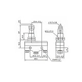 Micro Roller Plunger Limit Switch (Model: 0010010)